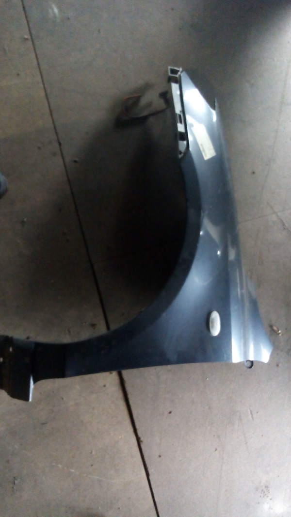 Guarda Lamas Esq MAZDA 2 (DE) | 07 - (147354).