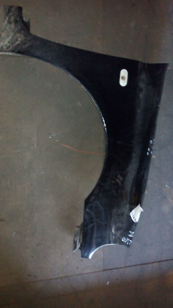 Guarda Lamas Dto RENAULT CLIO II (BB0/1/2_, CB0/1/2_) | 98 - (20195520).