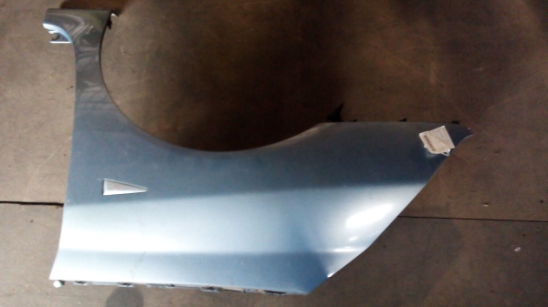 Guarda Lamas Esq RENAULT ESPACE IV (JK0/1_) | 02 - (20197054).