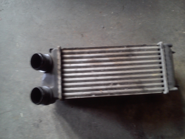 Radiador do Intercooler PEUGEOT 307 (3A/C) | 00 - (20198206).