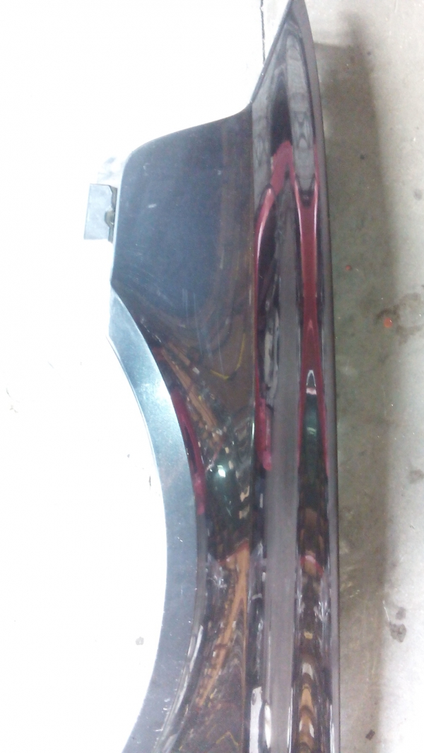 Guarda Lamas Esq RENAULT LAGUNA II (BG0/1_) | 01 - (20198862).