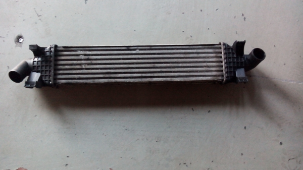 Radiador do Intercooler FORD FOCUS II (DA_) | 04 - (20199753).