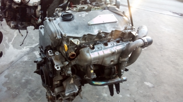 Motor Completo NISSAN ALMERA II Hatchback (N16) | 00 - (20202011).