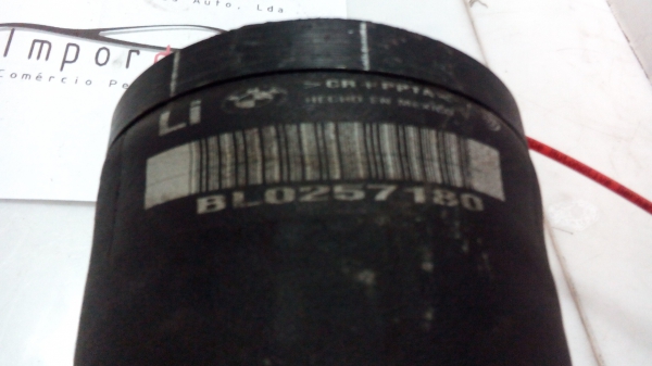 Suspensão Tras Esq / Amortecedores BMW 5 Touring (E39) | 97 - 04 (20202155).