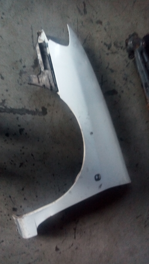 Guarda Lamas Esq SEAT CORDOBA Vario (6K5) | 99 - 02 (20202771).