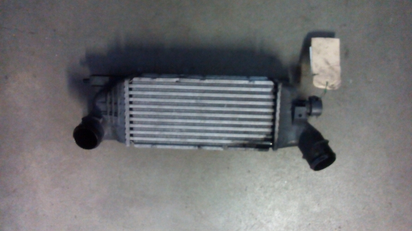 Radiador do Intercooler PEUGEOT 407 SW (6E_) | 04 - (20204136).