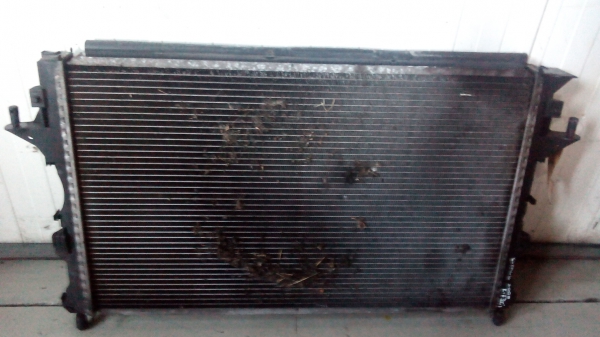 Radiador da água RENAULT ESPACE IV (JK0/1_) | 02 - (20204292).