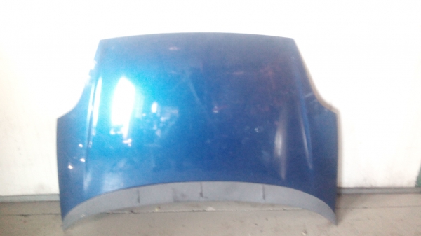 Capot FIAT PUNTO / GRANDE PUNTO (199) | 05 - (20204597).