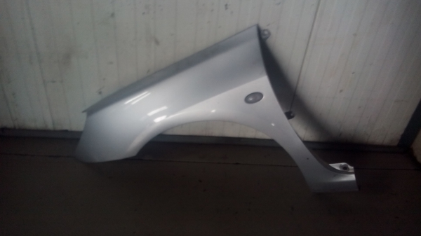 Guarda Lamas Esq PEUGEOT 307 (3A/C) | 00 - (20204751).