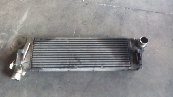 Radiador do Intercooler RENAULT MEGANE II (BM0/1_, CM0/1_) | 02 - (20205028).