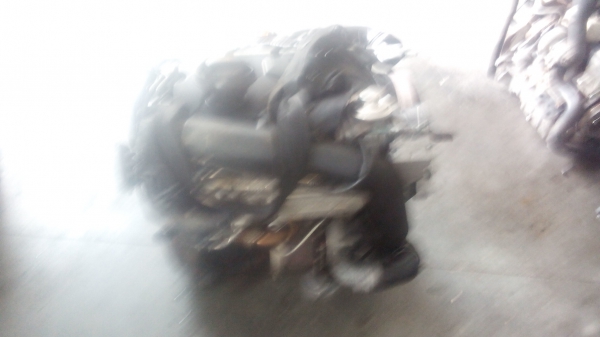 Motor Completo VOLKSWAGEN GOLF V (1K1) | 03 - 09 (20205101).