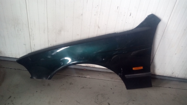 Guarda Lamas Esq BMW 5 (E39) | 95 - 03 (20205212).