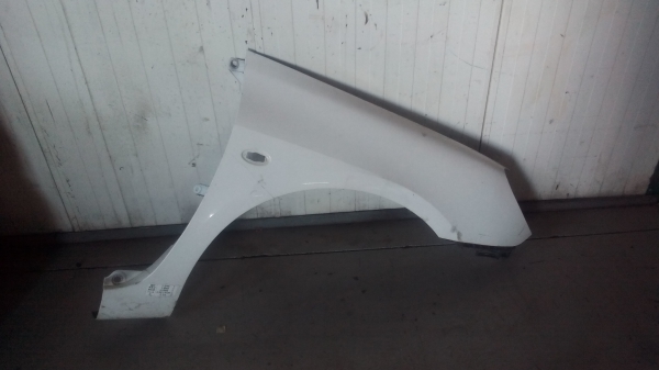 Guarda Lamas Dto PEUGEOT 307 (3A/C) | 00 - (20205905).