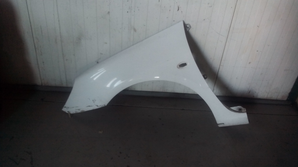 Guarda Lamas Esq PEUGEOT 307 (3A/C) | 00 - (20205906).