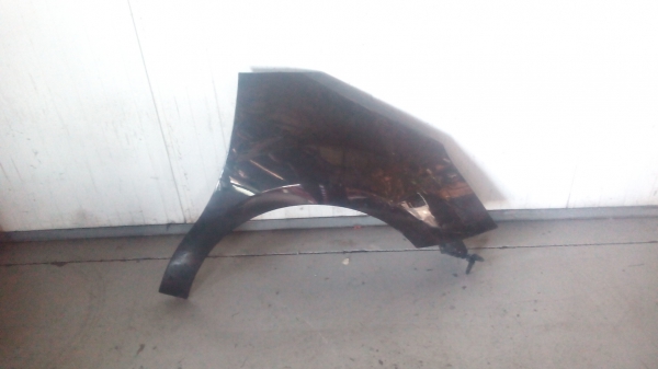 Guarda Lamas Dto CITROËN C3 II | 09 - (20205925).