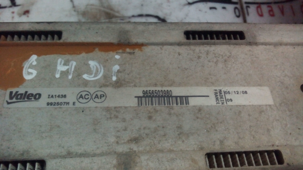 Radiador do Intercooler CITROËN C4 (LC_) | 04 - (20205973).