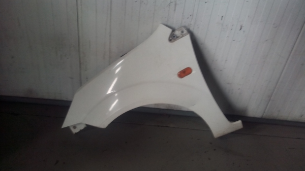 Guarda Lamas Esq FORD FIESTA V (JH_, JD_) | 01 - 10 (20206257).