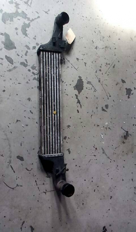 Radiador do Intercooler MERCEDES-BENZ E-CLASS (W210) | 95 - 02 (20206476).