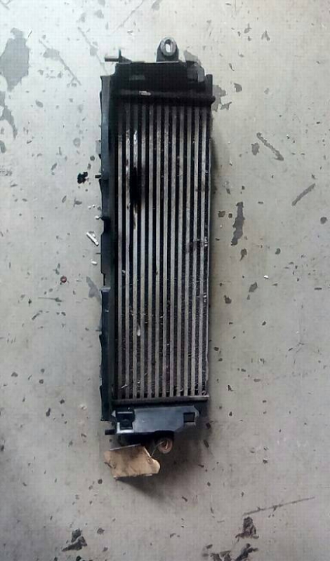 Radiador do Intercooler RENAULT TRAFIC II Caixa (FL) | 01 - (20206491).