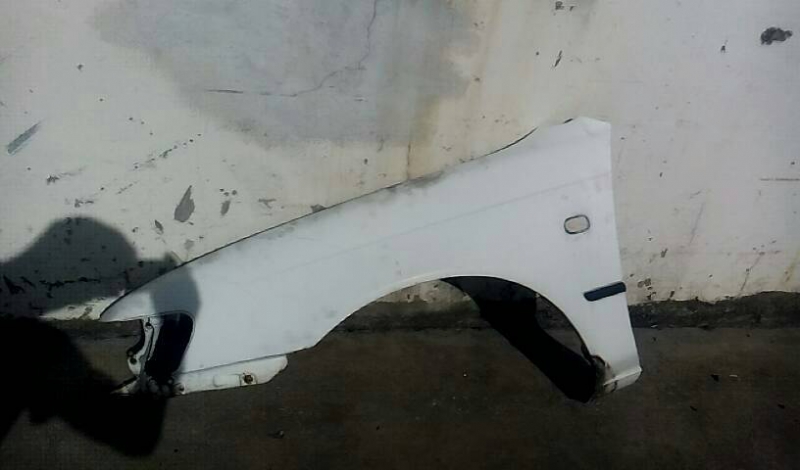 Guarda Lamas Esq TOYOTA COROLLA (_E10_) | 91 - 99 (20206661).