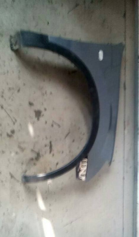 Guarda Lamas Dto NISSAN QASHQAI / QASHQAI +2 (J10, JJ10) | 07 - (20207481).