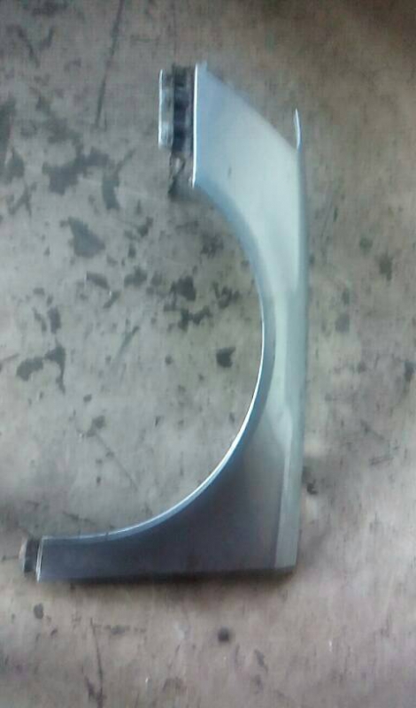 Guarda Lamas Esq VOLKSWAGEN PASSAT (3C2) | 05 - 10 (20208878).