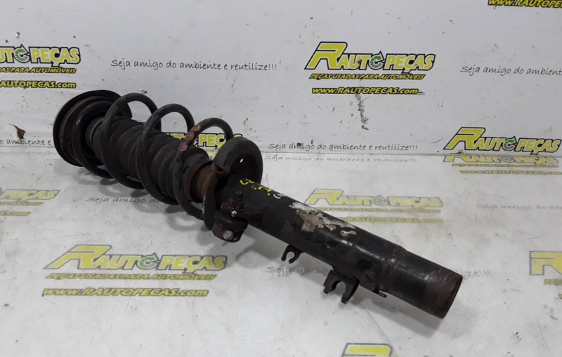 Amortecedor Frente Dto CITROËN C2 (JM_) | 03 - (140347).